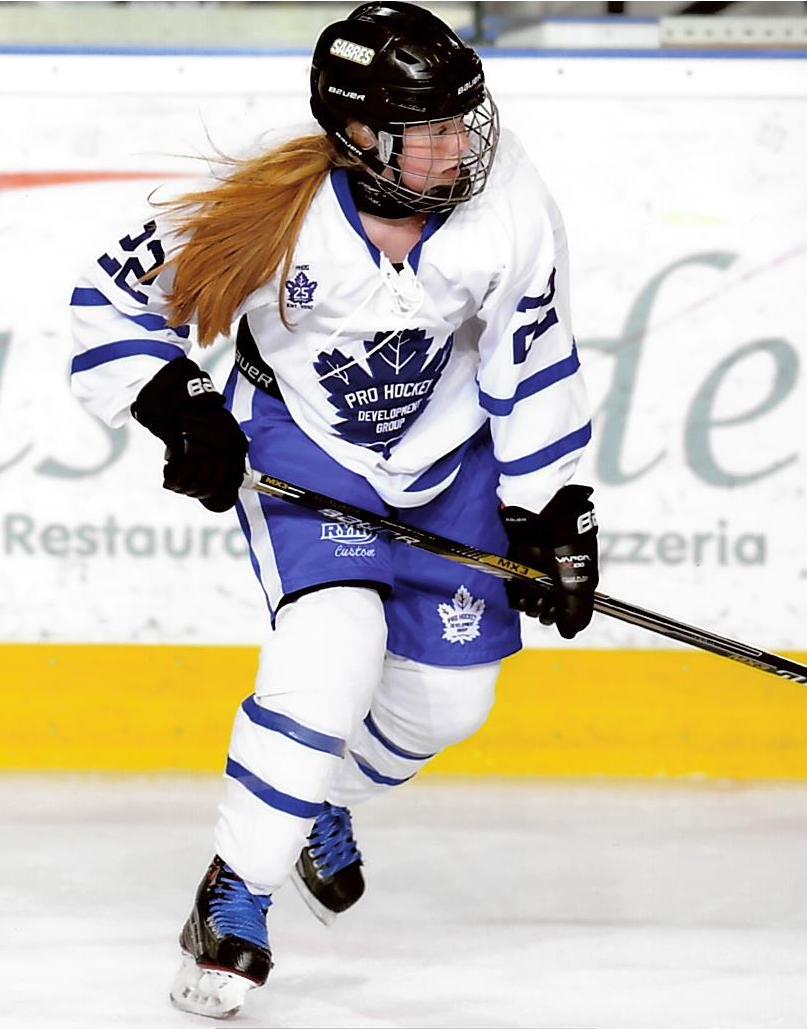 Spring Hockey Detroit MI