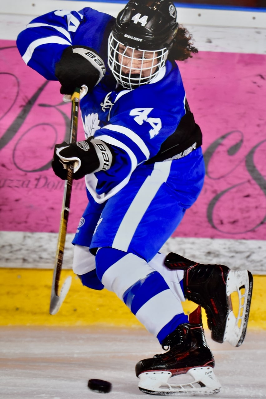 Spring Hockey Detroit MI