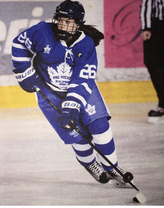 Spring Hockey Detroit MI