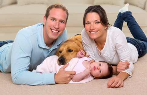 Carpet Cleaning Process - Carpet Cleaning Services Cambridge by Carpet Masters