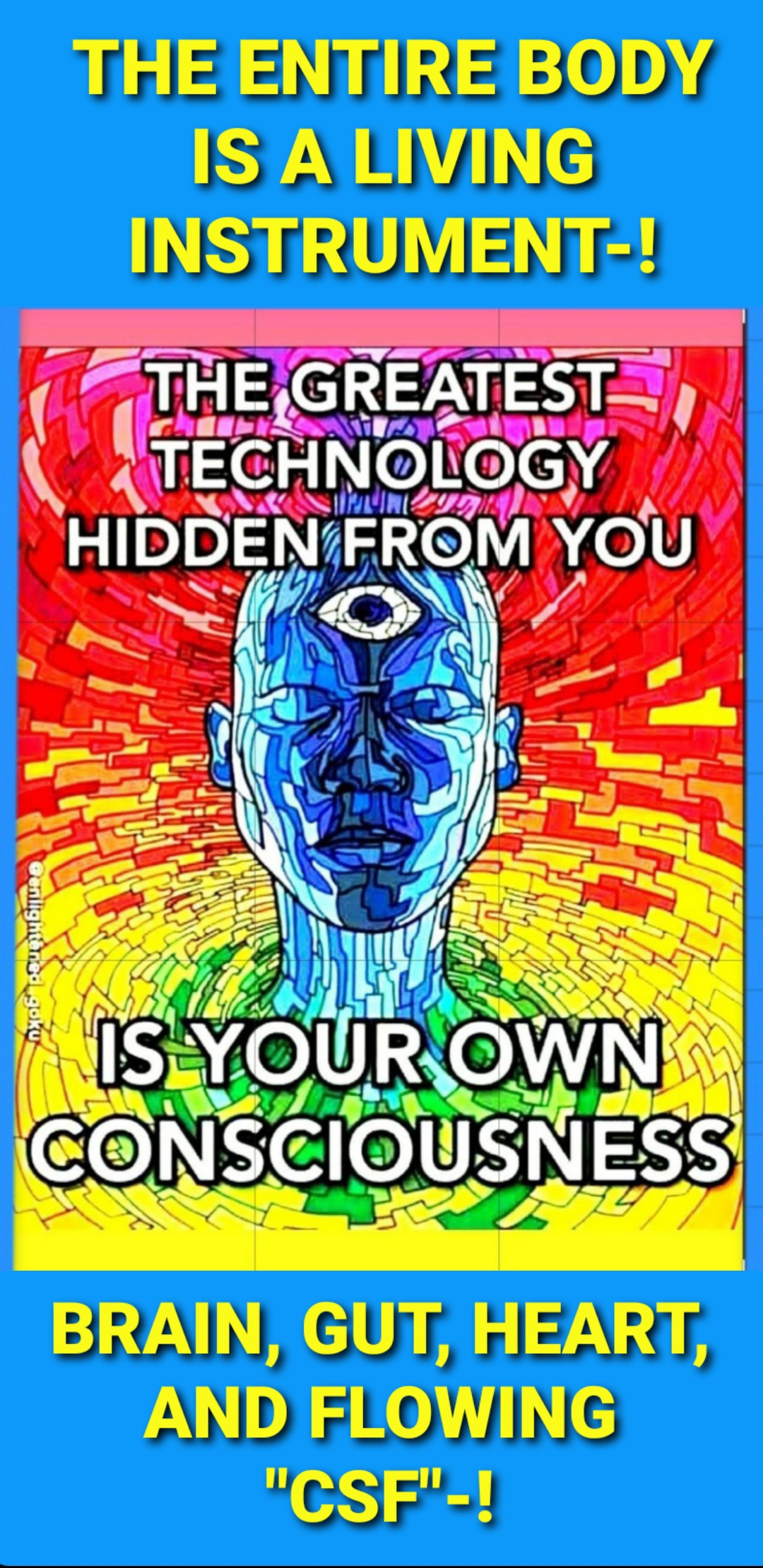 MIND, BODY, SPIRITUAL & GUT HEALTH/ MICROBIOME FOCUSES
Milwaukee