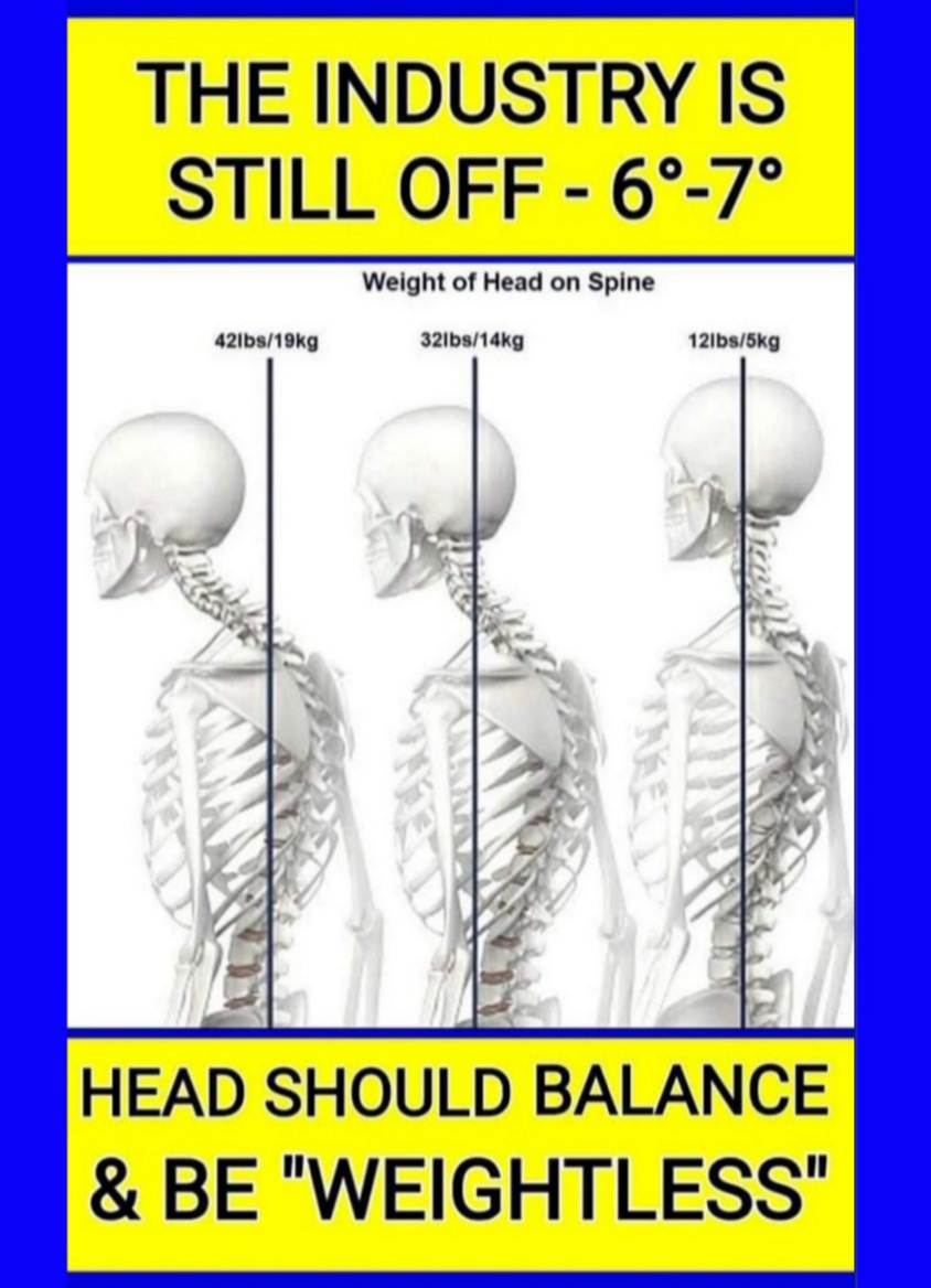 Spinal Wellness and Nerve Plexi Focus Milwaukee