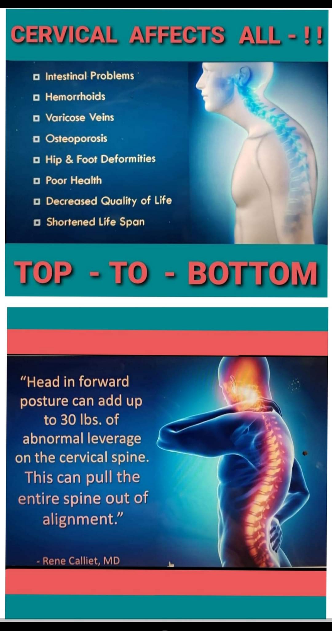 Spinal Alignment/Wellness & Nerve Plexi Focus Milwaukee