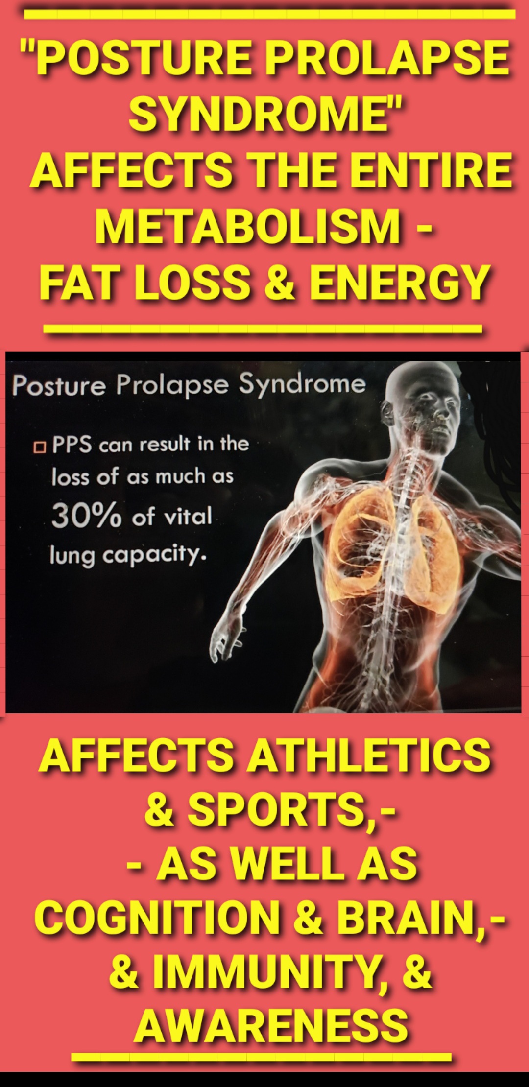 Spinal Alignment/Wellness & Nerve Plexi Focus Milwaukee