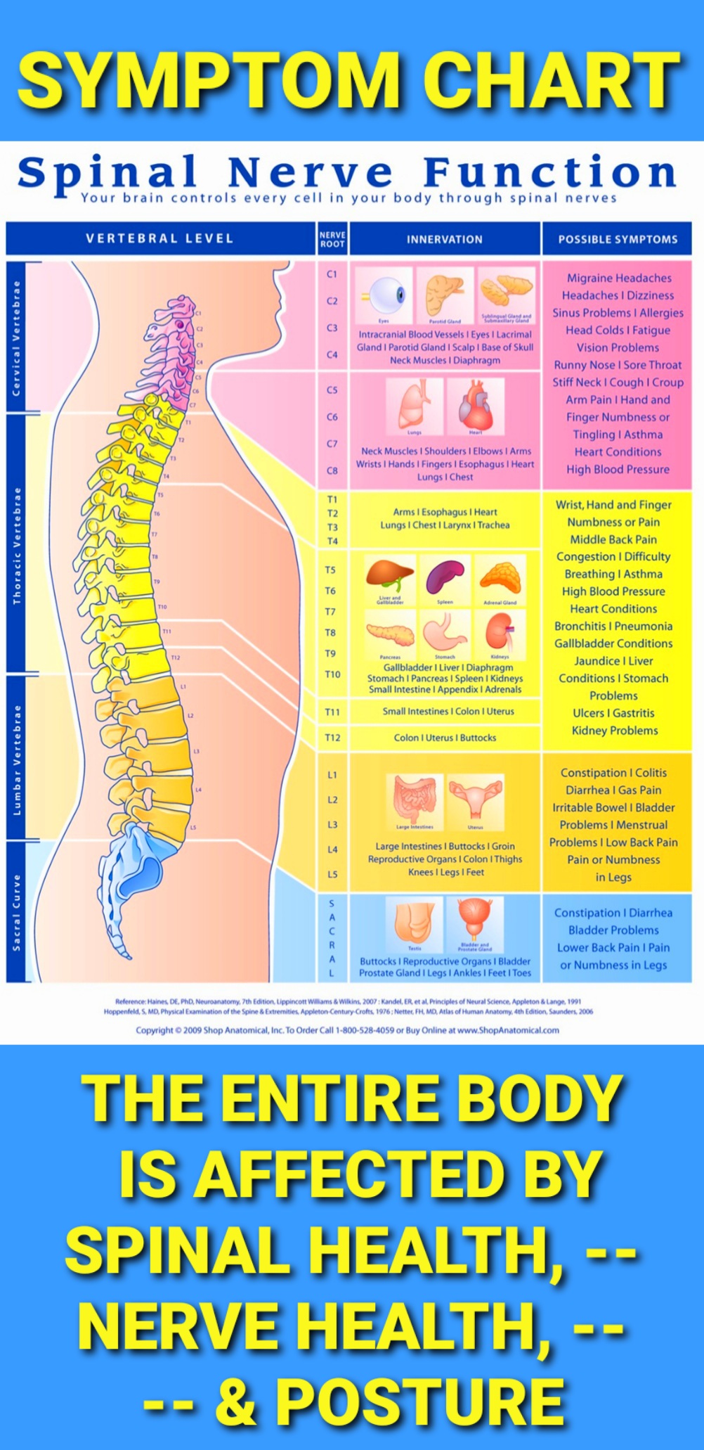 Spinal Alignment and Nerve Plexi Focus in Milwaukee by Better Results Personal Training