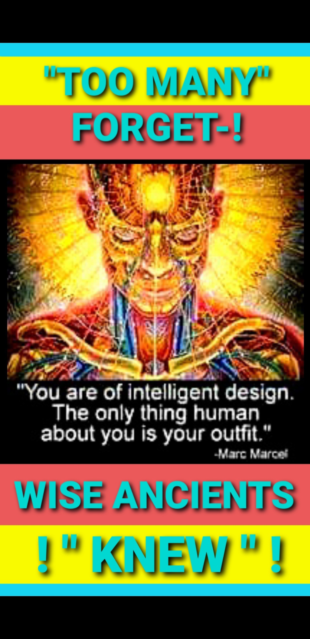 MIND, BODY, SPIRITUAL & GUT HEALTH/ MICROBIOME FOCUSES
Milwaukee