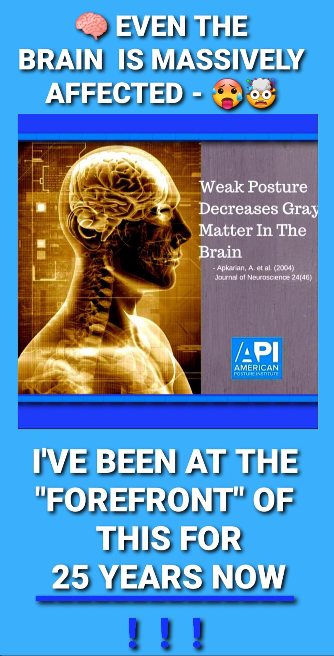 Spinal Alignment/Wellness & Nerve Plexi Focus Milwaukee