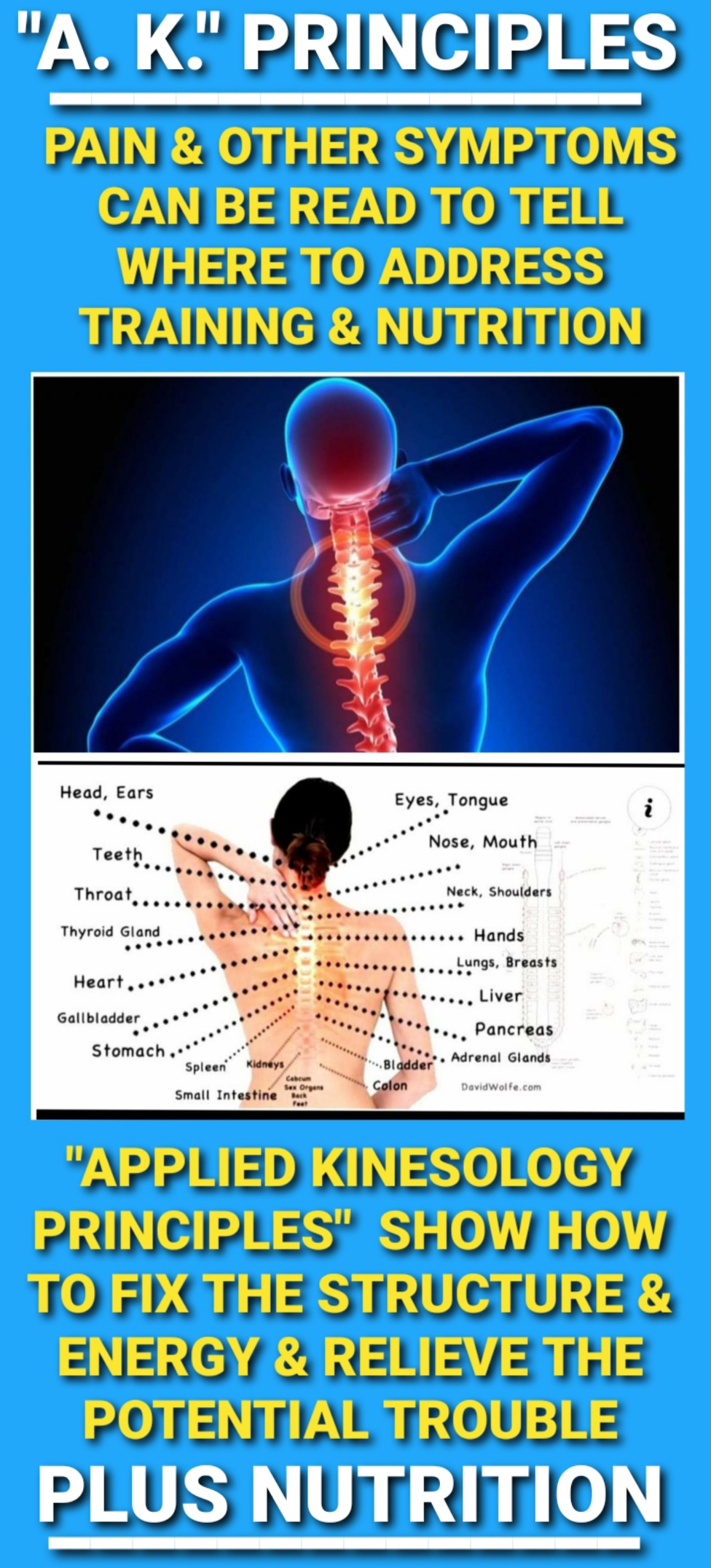 Spinal Alignment/Wellness & Nerve Plexi Focus Milwaukee