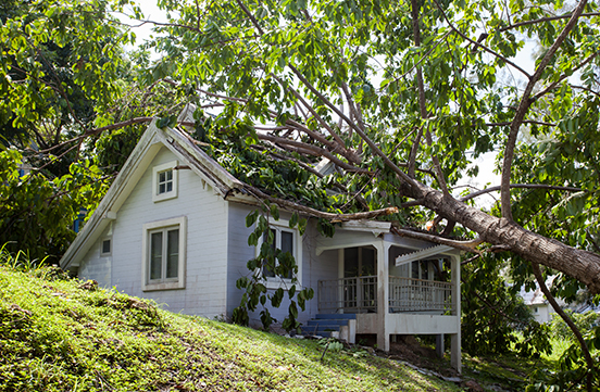 roof repair