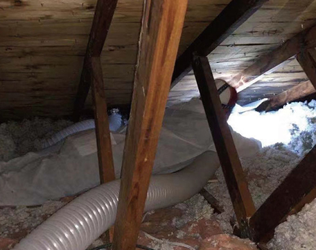 Insulation Removal Toronto
