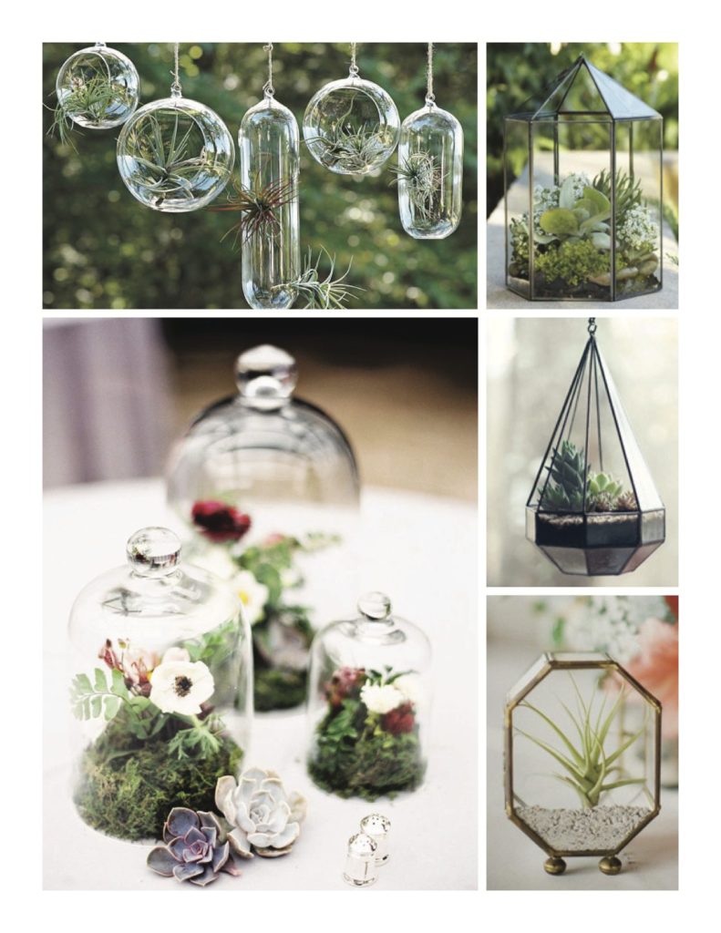 Terrariums-and-Cloches-Life-in-Bloom