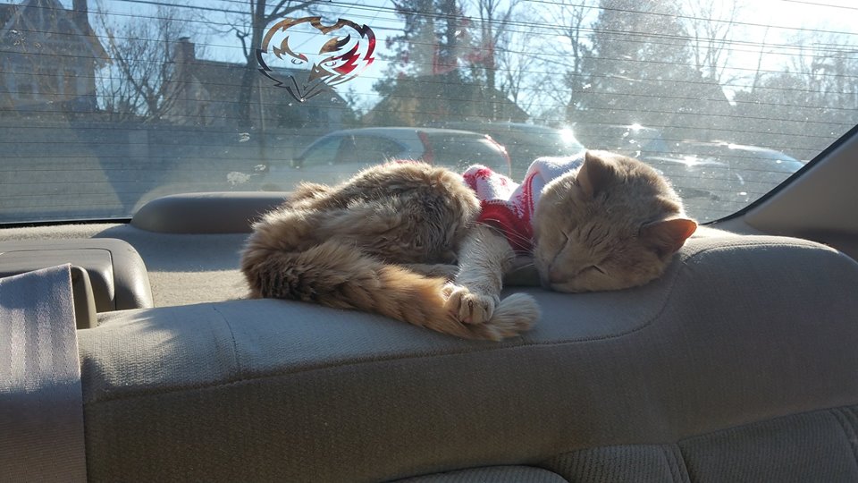 12380032_10104203787822358_485727832_n