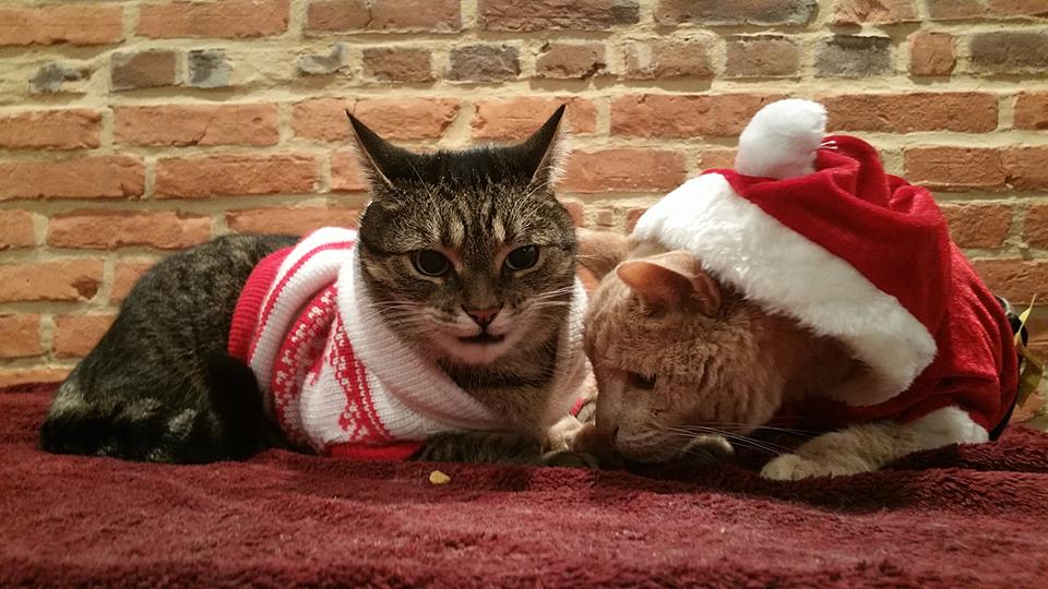 12399436_10104229010825258_976002207_n