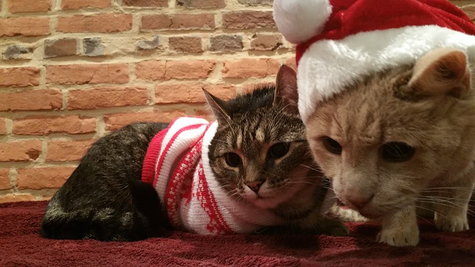 12434674_10104229009253408_708501461_n