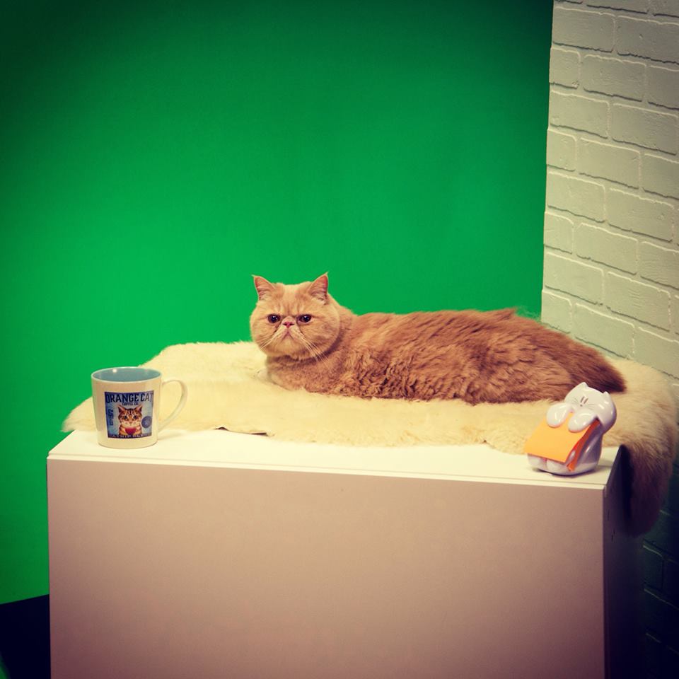 165901_1577410769251996_3029882159643217900_n