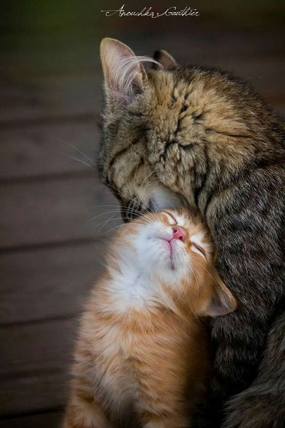 3daf5c6fddb8c6eba2222499b530ca43