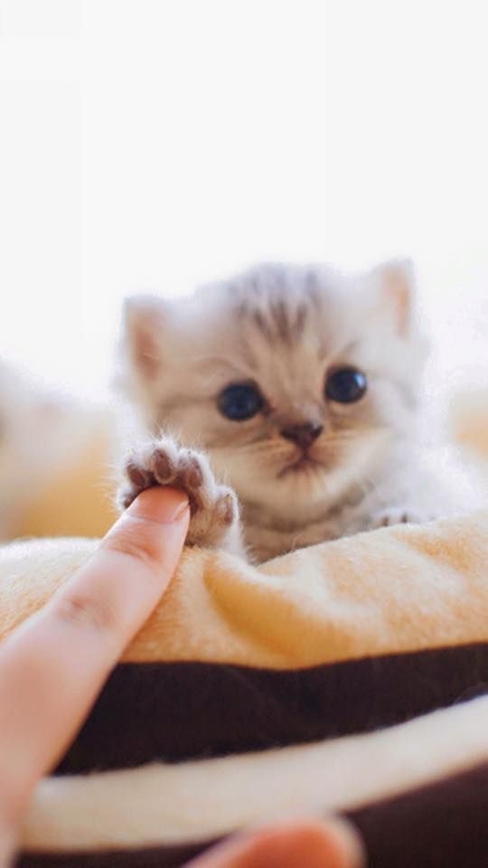 53aaa8d05a0b713bf1498e73ffca8107