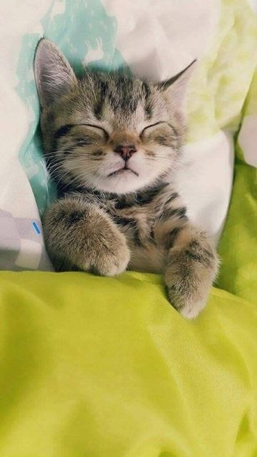 71d540ea1bc49bdfe66f4f4a0ec2e317