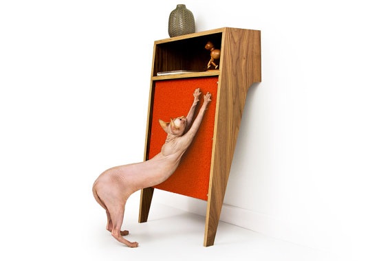 Cat-Scratcher-Console
