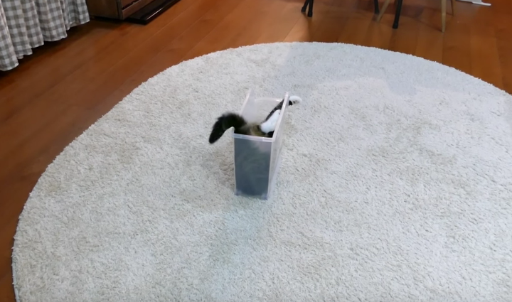 Screen Shot 2016-03-29 at 10.41.01 AM