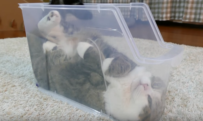 Screen Shot 2016-03-29 at 10.41.11 AM