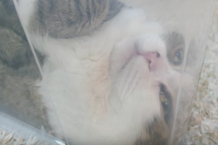 Screen Shot 2016-03-29 at 10.42.08 AM