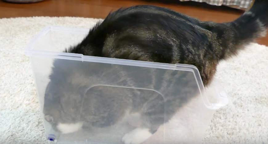 Screen Shot 2016-03-29 at 10.42.32 AM