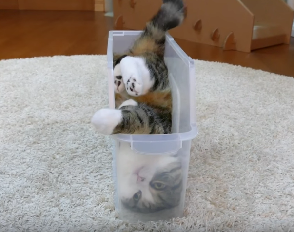 Screen Shot 2016-03-29 at 10.42.57 AM