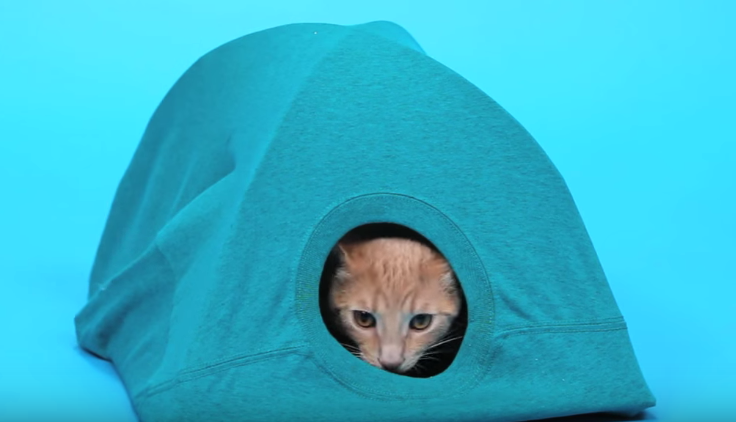 Screen Shot 2016-03-30 at 6.34.55 PM