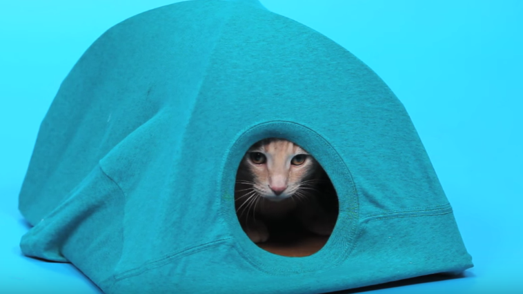 Screen Shot 2016-03-30 at 6.35.46 PM