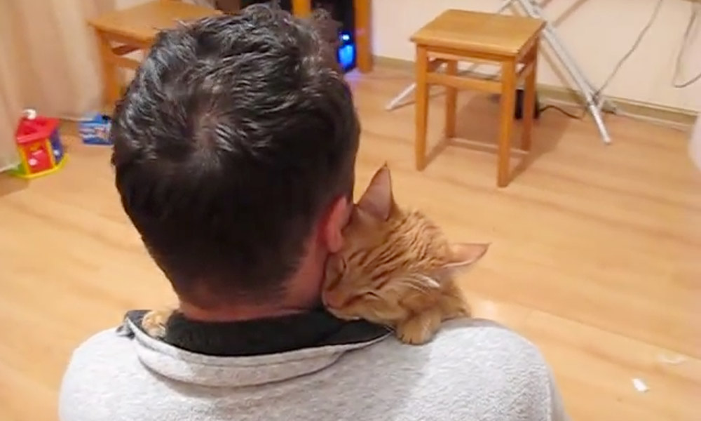 cat-hug