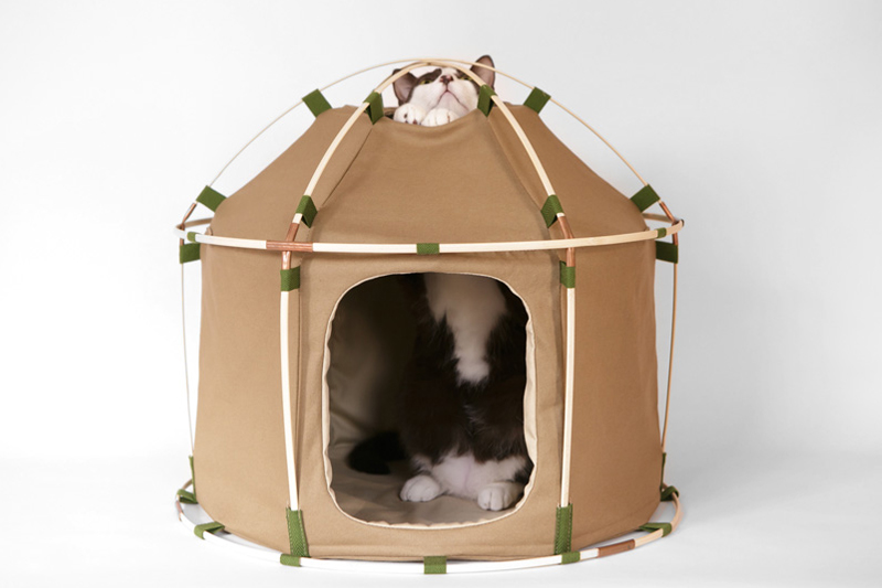 catstudyhouse-the-gigant-by-the-41st-century-designboom_0001_the-41st-century_catstudyhouse-the-gigant_designboom_001