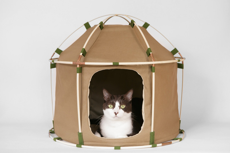 catstudyhouse-the-gigant-by-the-41st-century-designboom_0002_the-41st-century_catstudyhouse-the-gigant_designboom_002