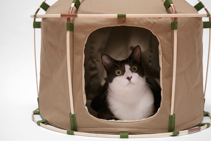 catstudyhouse-the-gigant-by-the-41st-century-designboom_0003_the-41st-century_catstudyhouse-the-gigant_designboom_003