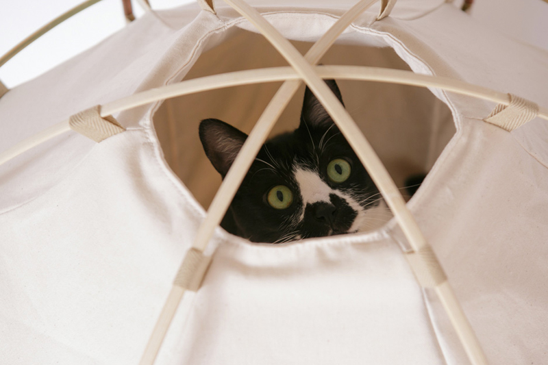 catstudyhouse-the-gigant-by-the-41st-century-designboom_0006_the-41st-century_catstudyhouse-the-gigant_designboom_021