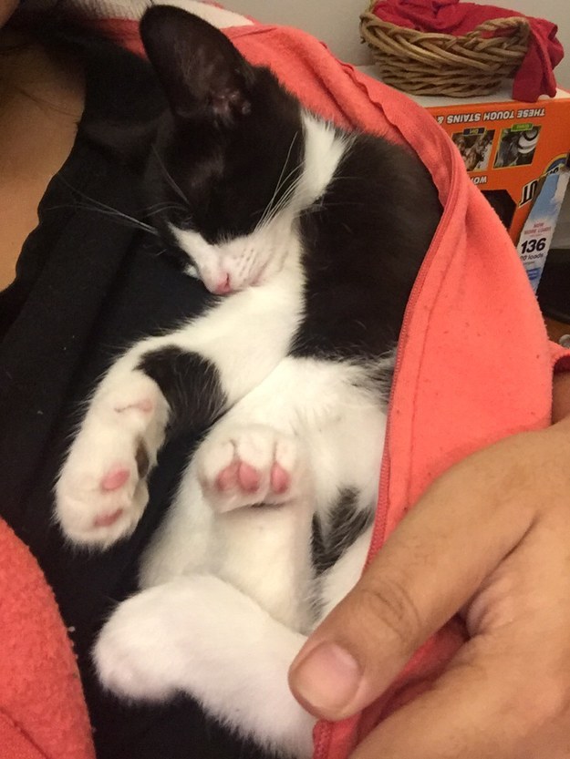 enhanced-20594-1453397932-1