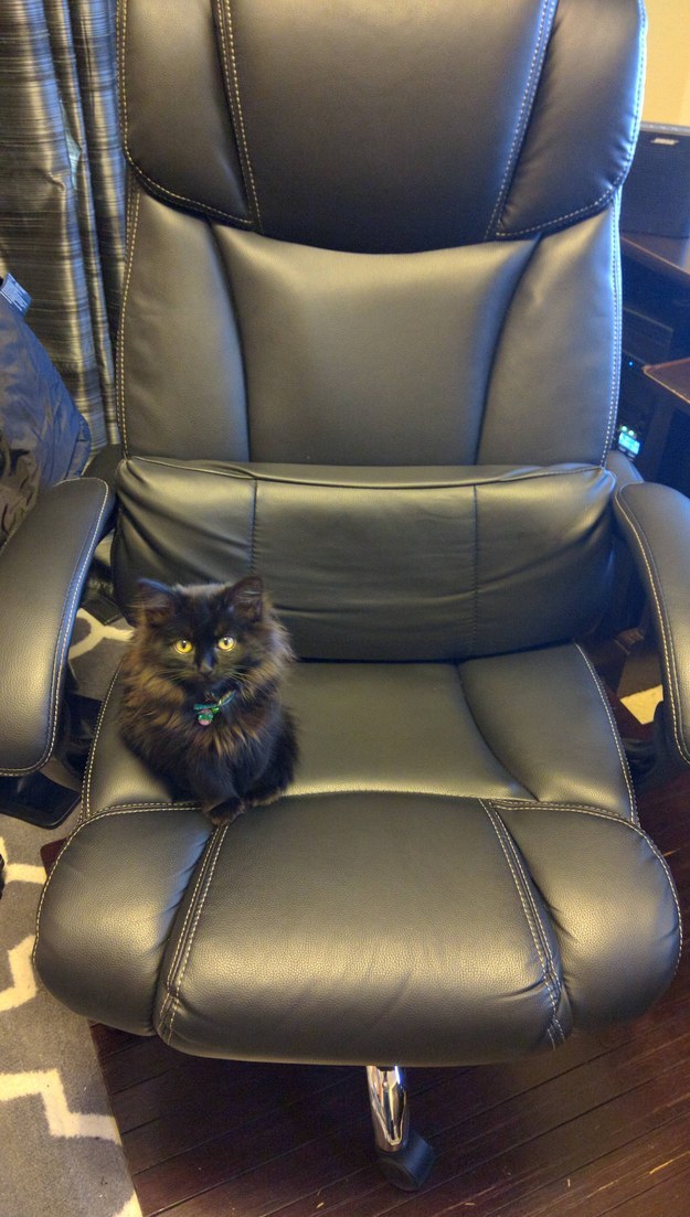 enhanced-5078-1452795065-5