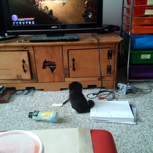 enhanced-6056-1453405280-14