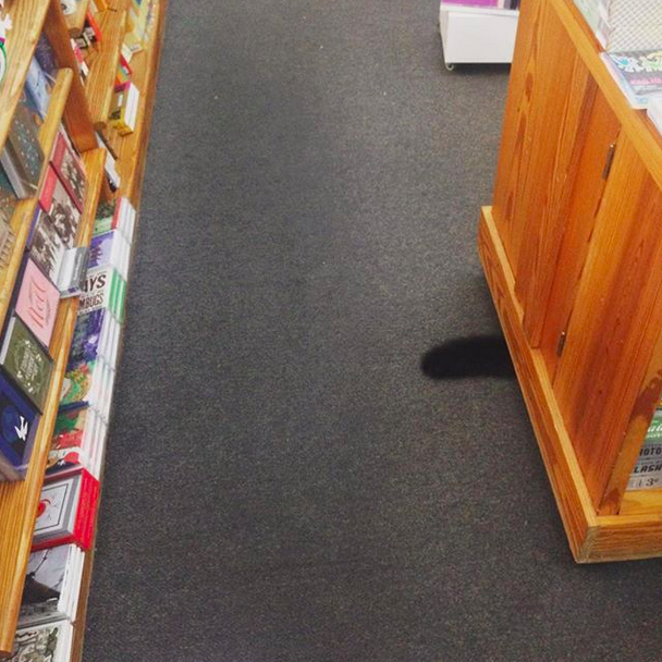 enhanced-6742-1453405639-18