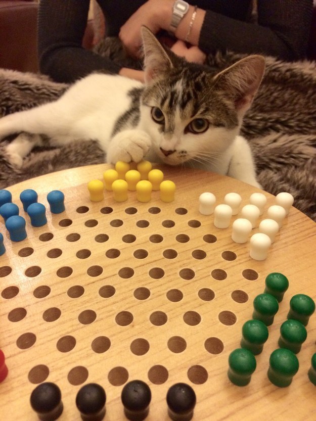 enhanced-9783-1453922604-4