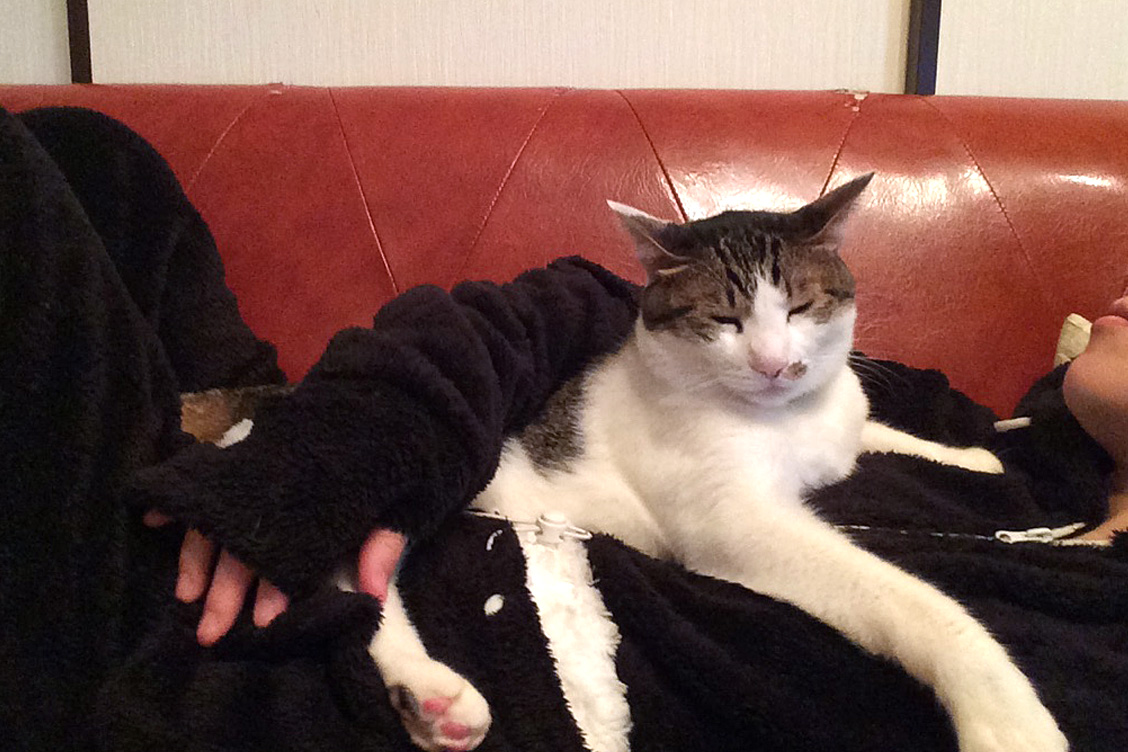 unihabitat http://www.unihabitat.jp/products/udn33/