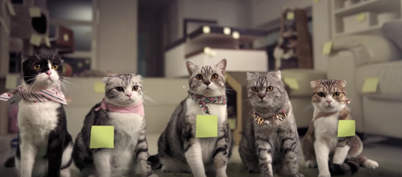 youtube https://www.youtube.com/watch?v=nx6EeN3GIok