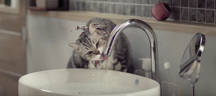 youtube https://www.youtube.com/watch?v=nx6EeN3GIok