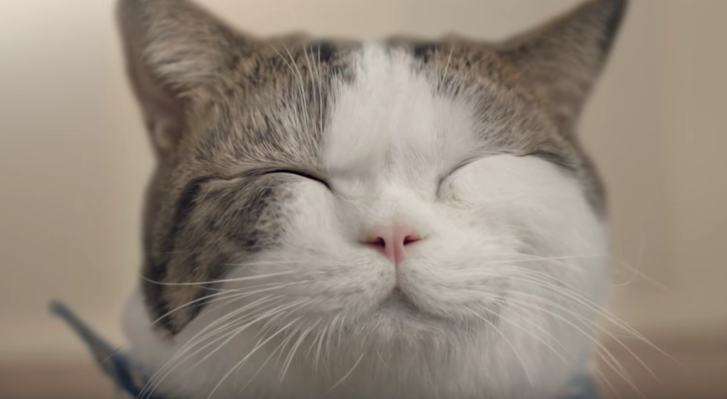 youtube https://www.youtube.com/watch?v=nx6EeN3GIok