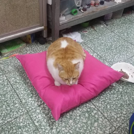 Screen-Shot-2015-12-22-at-3.21.15-pm