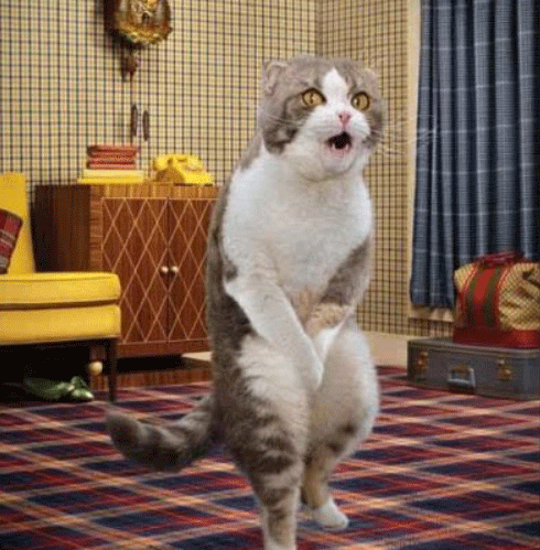 ehternyataa http://www.ehternyataa.click/