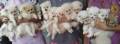 Jual Anjing Pomeranian