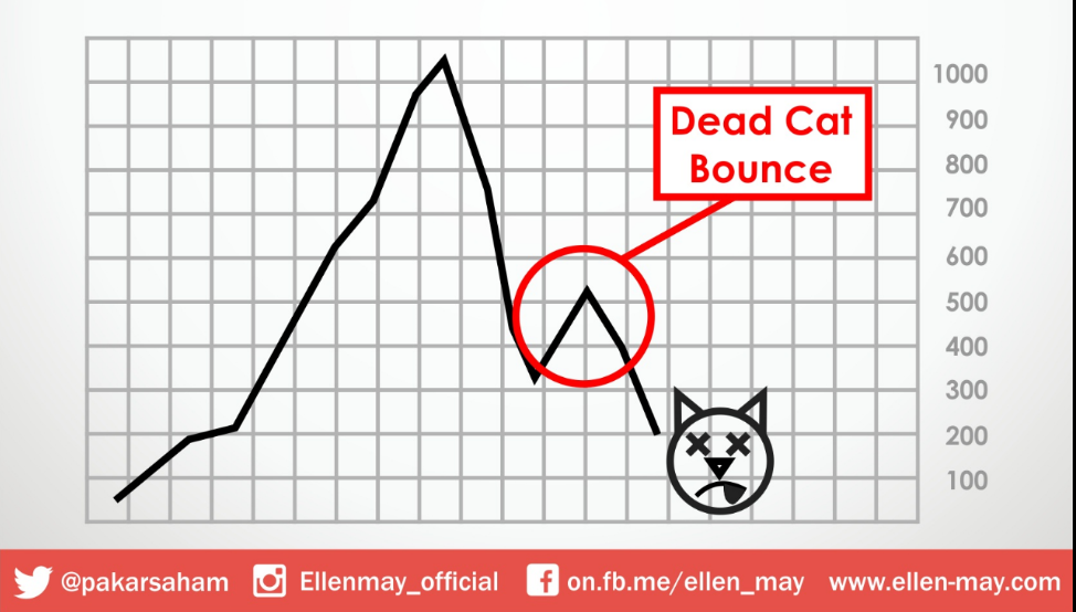 The "Dead Cat Bounce" Trading Strategy Ellen May Institute