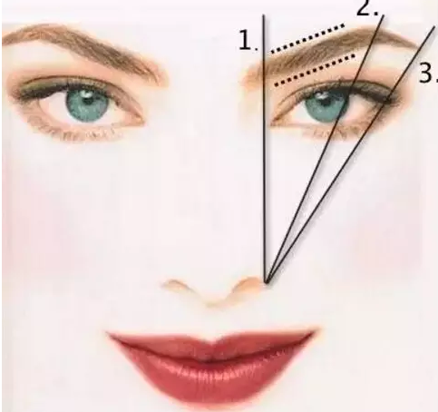 eyebrow