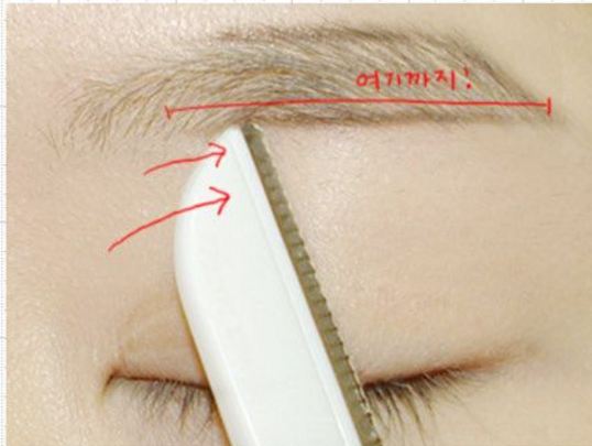eyebrow